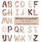 Extra Large 6 Inch Neutral Animal Alphabet Wall Decals (Neutral) 4.5 x 0.01 x 6 inches